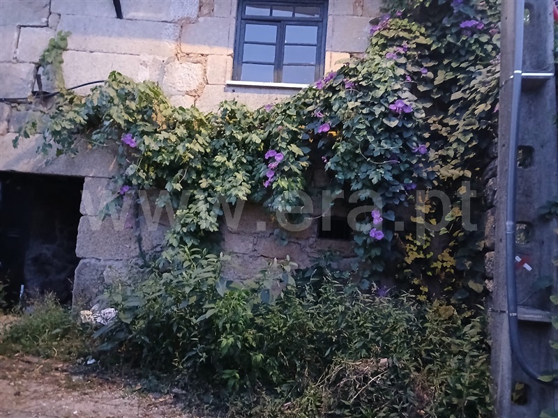 Andar Moradia T3 Tondela, Castelões - 1508942 - 11