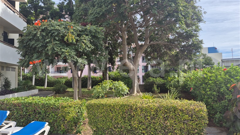 Apartamento T1 Funchal, São Martinho - 1513568 - 10
