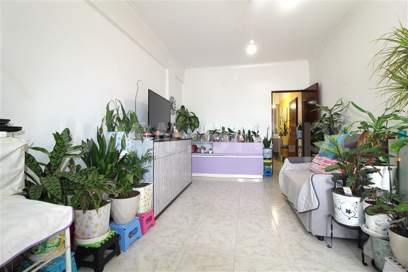 Apartamento T1 Almada, Cova da Piedade - 1503067 - 15