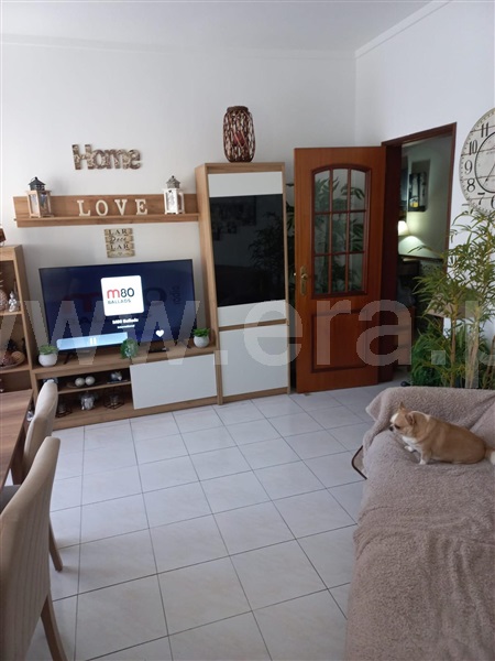 Apartamento T1 Amadora, Venteira - 1492045 - 8