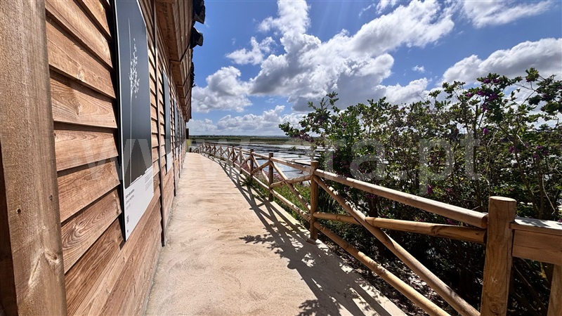 Apartamento T2 com Vista Mar Figueira da Foz, São Pedro - 1471921 - 5