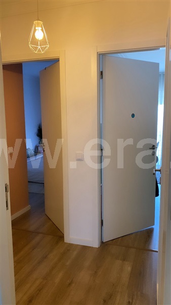 Apartamento T2 Paredes, Parada de Todeia - 1492225 - 10
