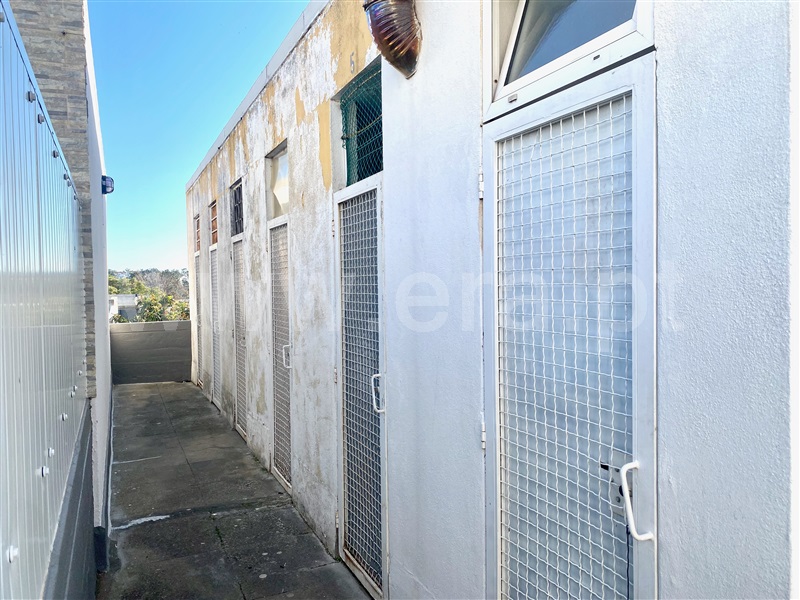 Apartamento T2 Santiago do Cacém, Santo André - 1474603 - 47