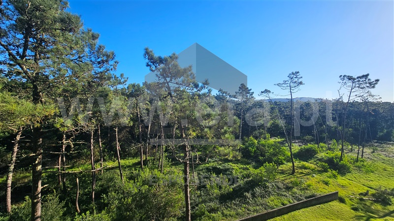 Apartamento T2 Viana do Castelo, Chafé - 1452856 - 13