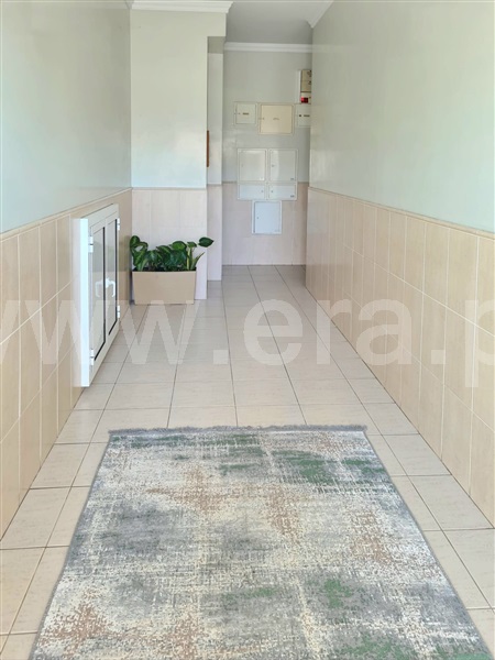 Apartamento T3 / Anadia, Avelãs de Caminho