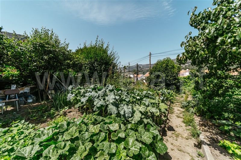Apartamento T3 com Terraço Covilhã, Teixoso - 1483229 - 17