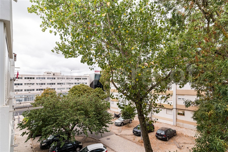 Apartamento T3 Lisboa, Olivais - 1500341 - 15