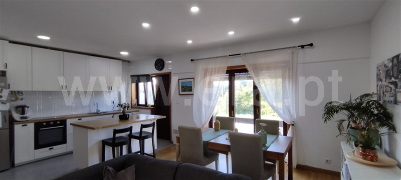 Apartamento T3 / Vila do Conde, Árvore