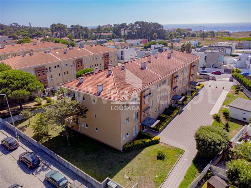 Apartamento T3 / Vila do Conde, Árvore