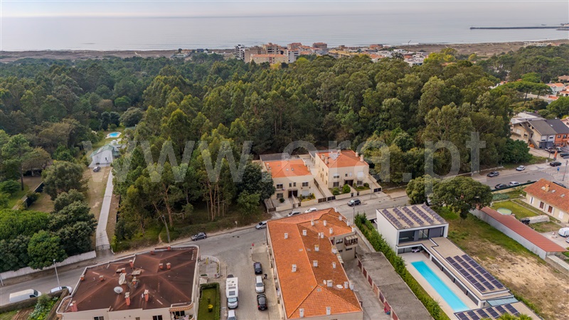 Apartamento T3 / Vila do Conde, Árvore