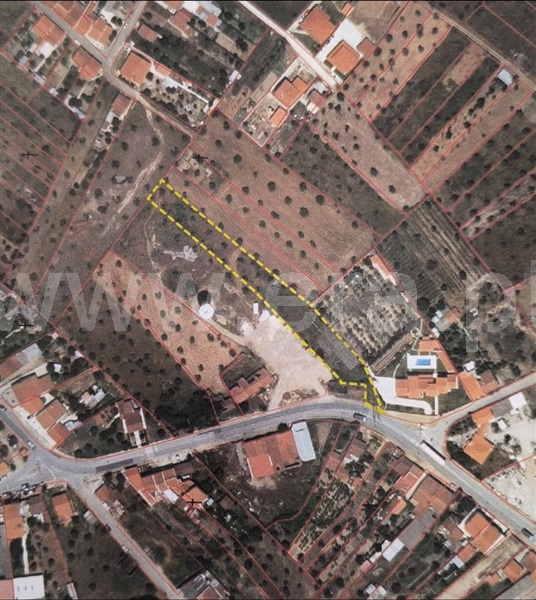 Armazém / Abrantes, Pego