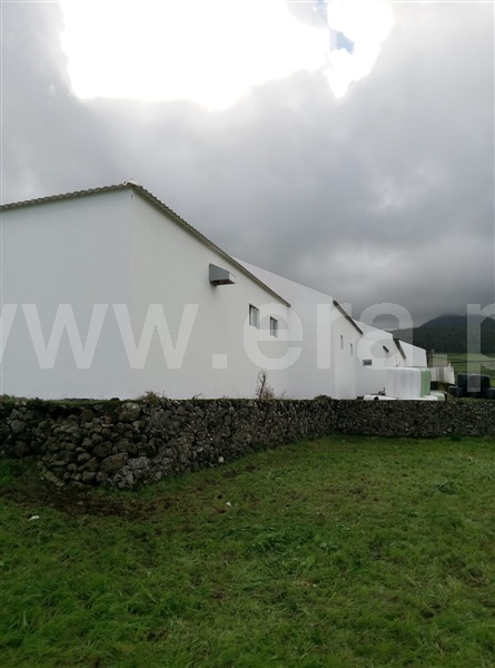 Armazém / Angra do Heroísmo, Altares