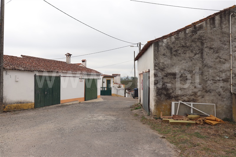 Armazém / Gavião, Belver