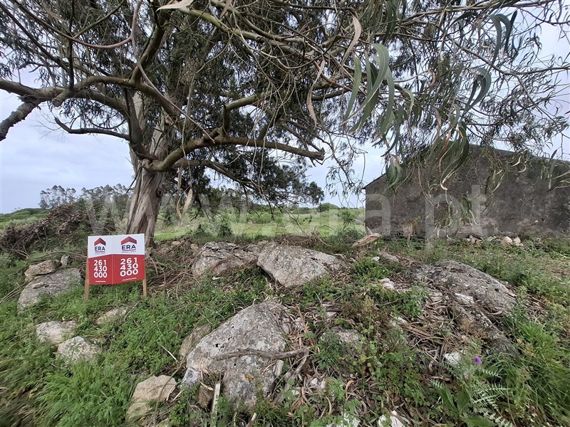 Armazém / Lourinhã, Reguengo Grande