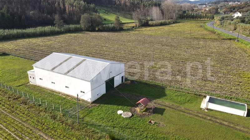Armazém / Ourém, Gondemaria e Olival