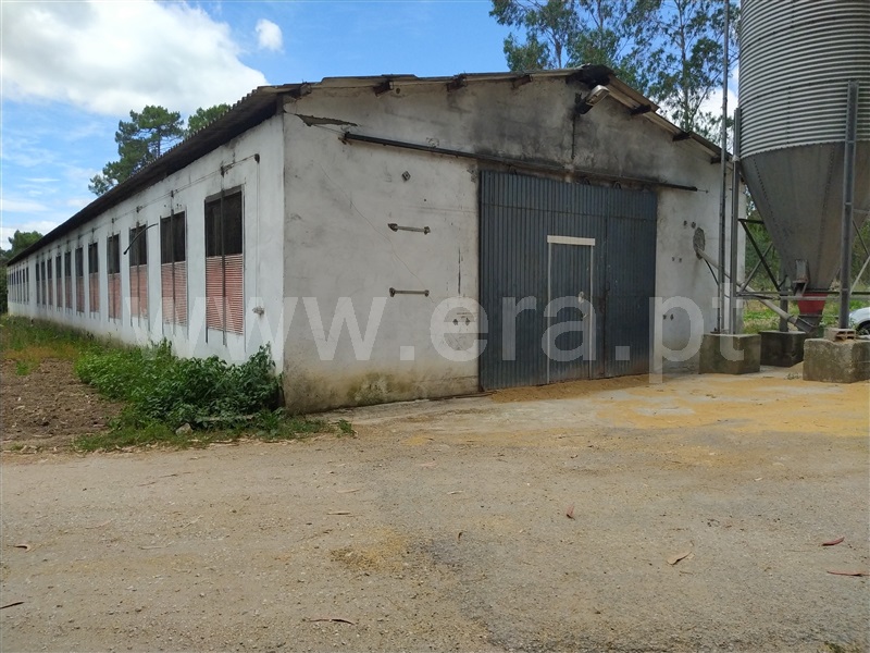 Armazém / Ourém, Rio de Couros e Casal dos Bernardos