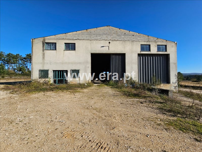 Armazém / Pombal, PELARIGA