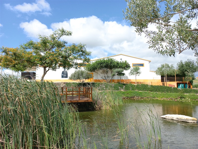 Armazém / Santarém, Achete, Azoia de Baixo e Póvoa de Santarém