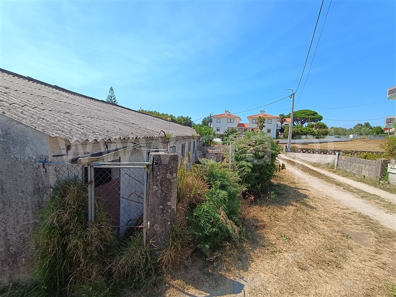 Armazém / Viana do Castelo, Afife - View 4