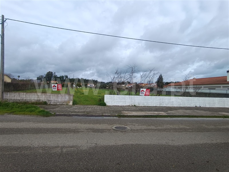 Arrecadação / Abrantes, Tapadão