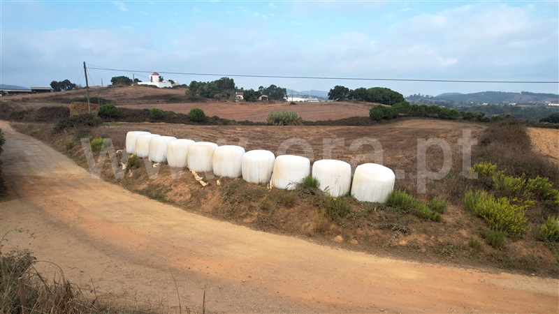 Azenha  Santiago do Cacém, Cercal - 1429975 - 2