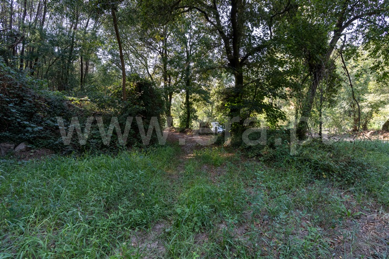 Azenha  Vila do Conde, Fornelo e Vairão - 1492344 - 5