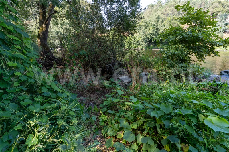 Azenha  Vila do Conde, Fornelo e Vairão - 1492344 - 9