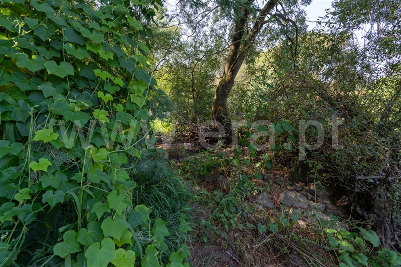 Azenha  Vila do Conde, Fornelo e Vairão - 1492344 - 10