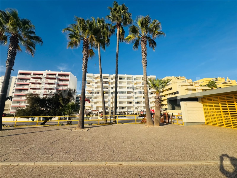 Bar / Loulé, Quarteira