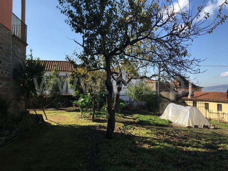 Casa Senhorial  Peso da Régua, Poiares e Canelas - 1129769 - 20