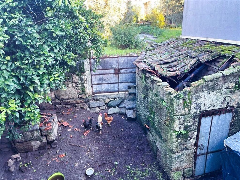 Casa Senhorial  Mangualde, Santiago de Cassurrães e Póvoa de Cervães - 1356836 - 6