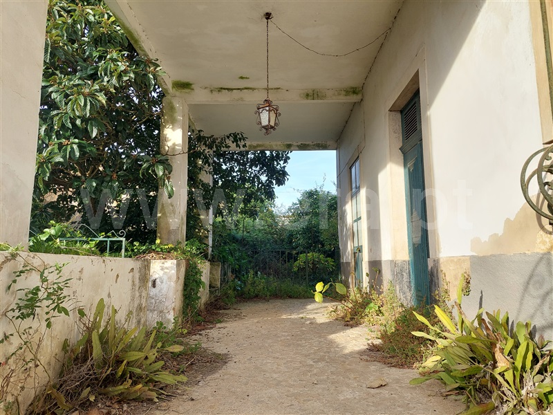 Casa Senhorial T5 Cantanhede, Bolho - 1480933 - 2