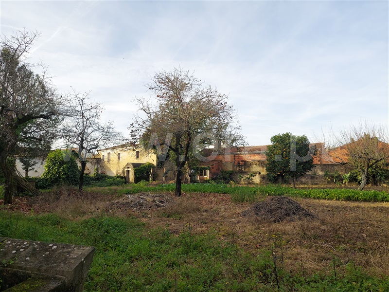 Casa Senhorial T5 Cantanhede, Bolho - 1480933 - 14