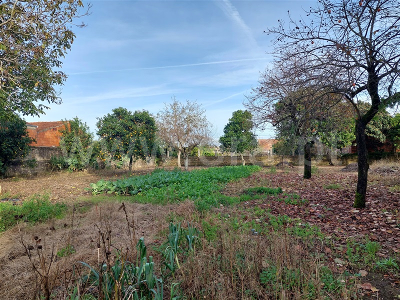 Casa Senhorial T5 Cantanhede, Bolho - 1480933 - 15