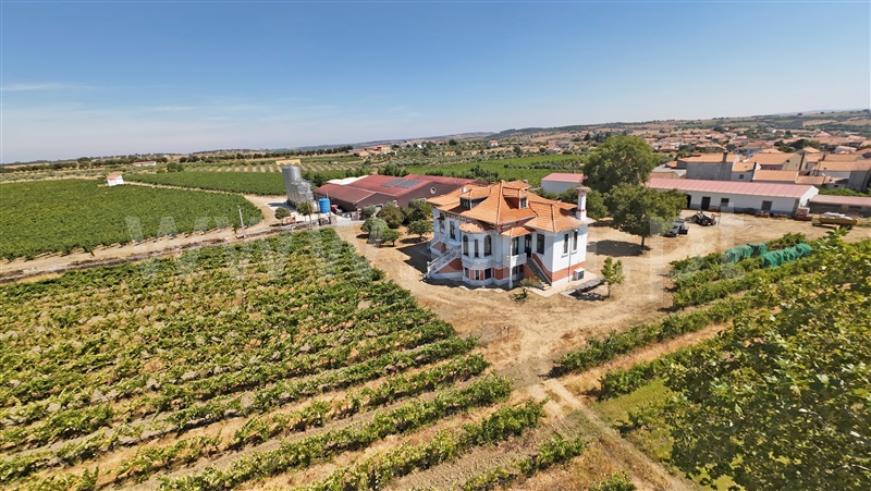Casa Senhorial T5 / Figueira de Castelo Rodrigo, Vermiosa