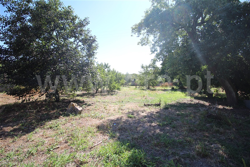 Casa Senhorial T5 Valongo, Ermesinde - 1340723 - 28