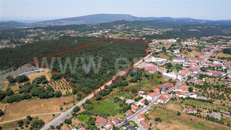 Casa Senhorial T8 com Terreno Alvaiázere, Pussos São Pedro - 1489505 - 4