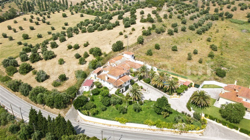 Quinta T8 Torres Novas, Torres Novas (São Pedro), Lapas e Ribeira Branca - 1328375 - 4