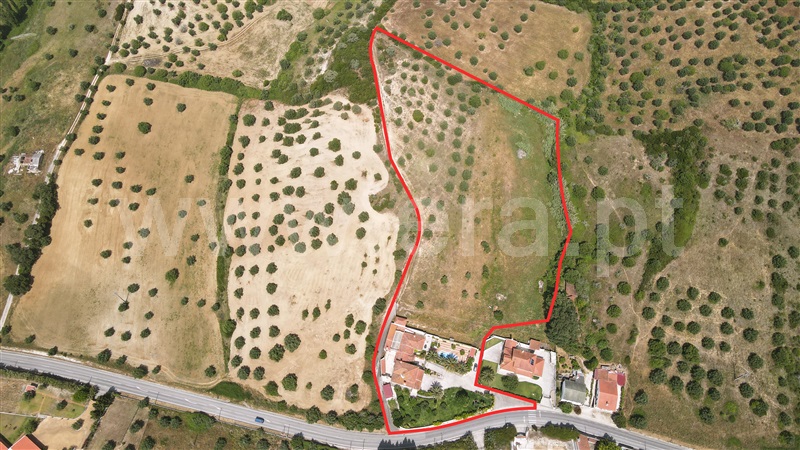 Quinta T8 Torres Novas, Torres Novas (São Pedro), Lapas e Ribeira Branca - 1328375 - 49