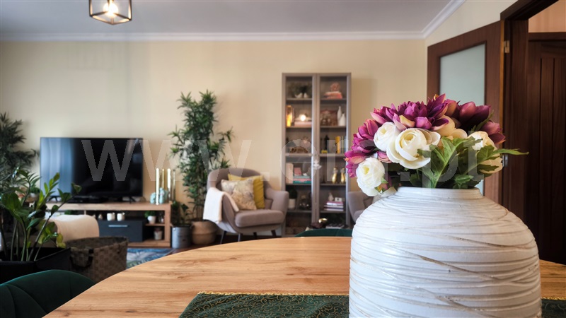 Duplex T3 / Oliveira do Bairro, Palhaça