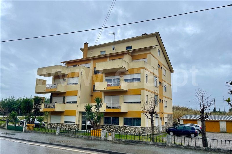 Duplex T4 / Coimbra, Taveiro