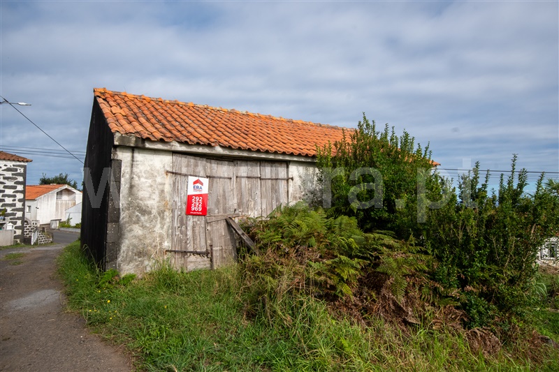 Garagem Estúdio / Horta, Cedros