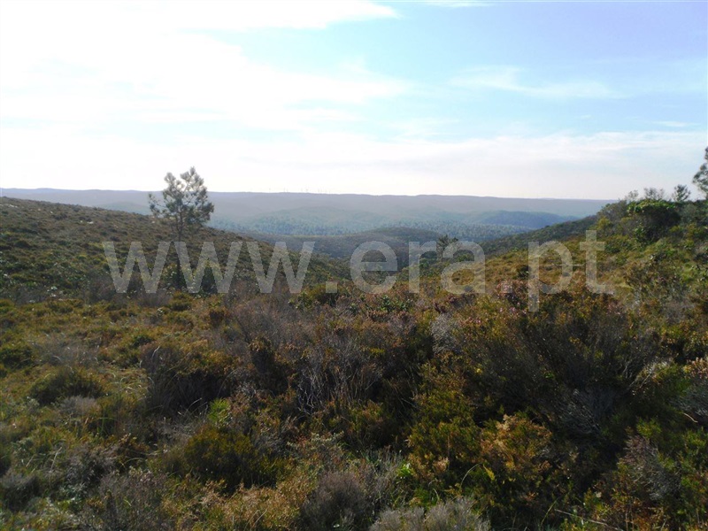 Herdade  Aljezur, Bordeira - 993807 - 1
