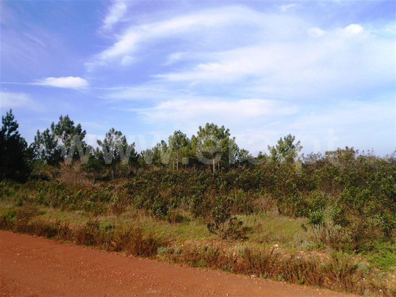 Herdade  Aljezur, Bordeira - 993807 - 2