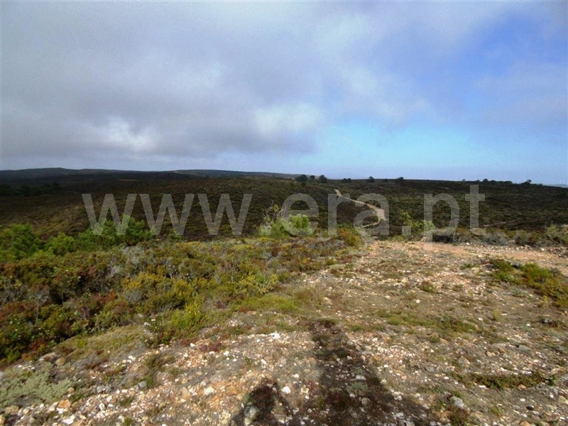 Herdade  Aljezur, Bordeira - 994777 - 19