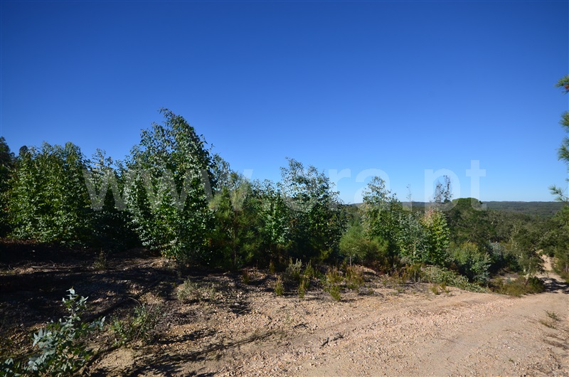 Herdade  Almeirim, Raposa - 1371552 - 4