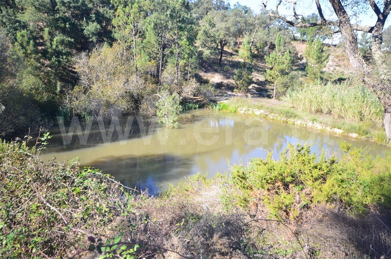 Herdade  Almeirim, Raposa - 1371552 - 6