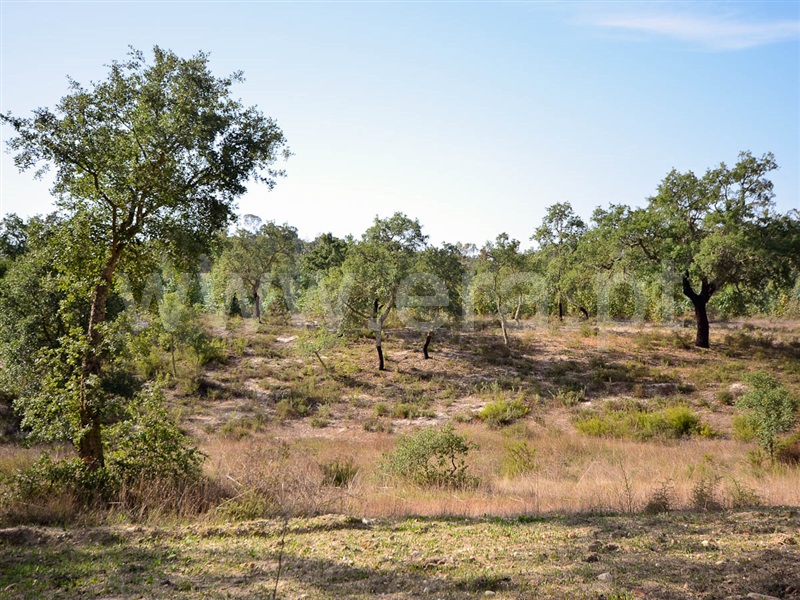 Herdade  Almeirim, Raposa - 1371552 - 7