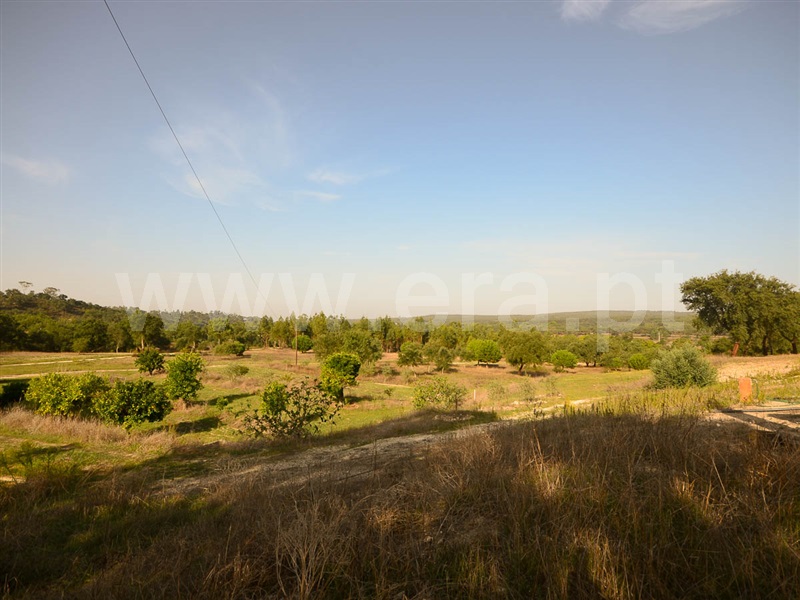 Herdade  Almeirim, Raposa - 1371552 - 8
