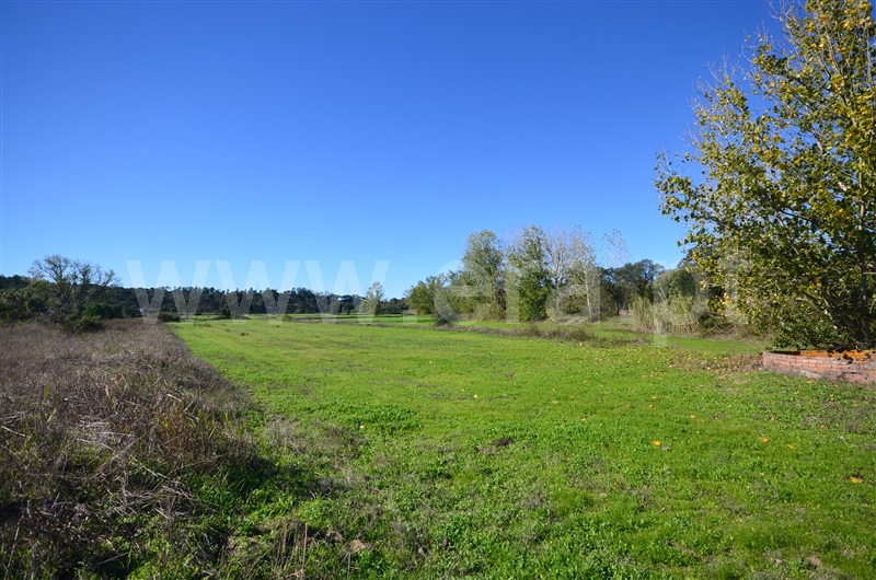 Herdade  Almeirim, Raposa - 1371552 - 9
